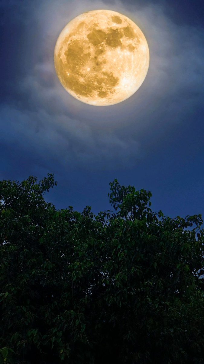 Moon Lovers tweet media
