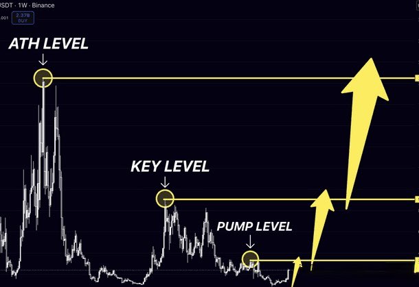 Mr Titan Trader tweet media