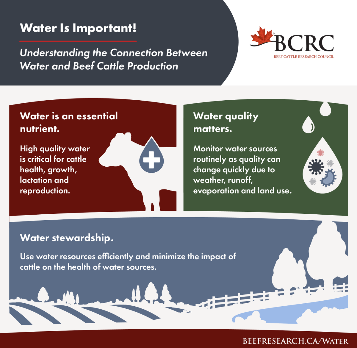 BeefResearch's tweet photo. Insufficient access to quality water reduces beef cattle performance faster and more dramatically than any other nutrient deficiency. Consequences can be immediate and severe, especially in hot summer weather or drought.

Learn more ⬇️
https://t.co/sFI9ZWEteq https://t.co/DSpkN22PBk