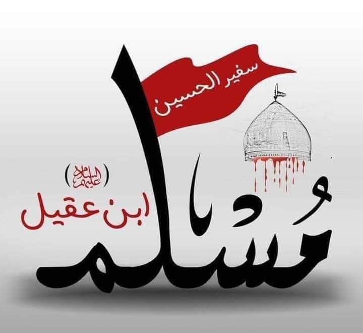 𝔸𝕝𝕚 ℕ𝕒𝕢𝕧𝕚_🇵🇰 tweet media