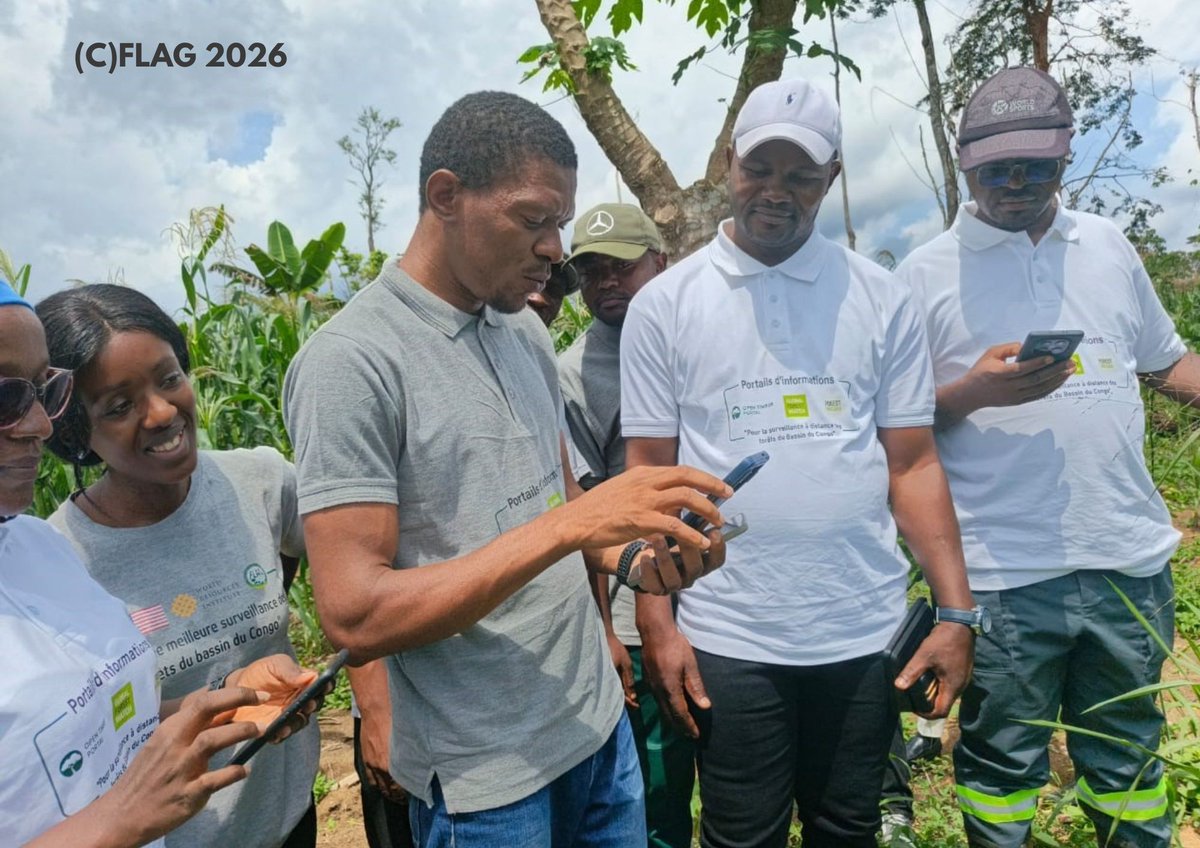 FlagCameroon's tweet photo. FLAG renforce les capacités des enseignants de l'ISABEE d'Ebolowa à l'utilisation des outils technologiques de surveillance forestière

#ISABEE #Foresterie #SurveillanceForestière #GlobalForestWatch #ForestWatcher #Technologie #GouvernanceForestière #BassinDuCongo #Formation https://t.co/TUup5z5bCE