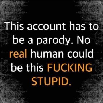The Silent Majority tweet media
