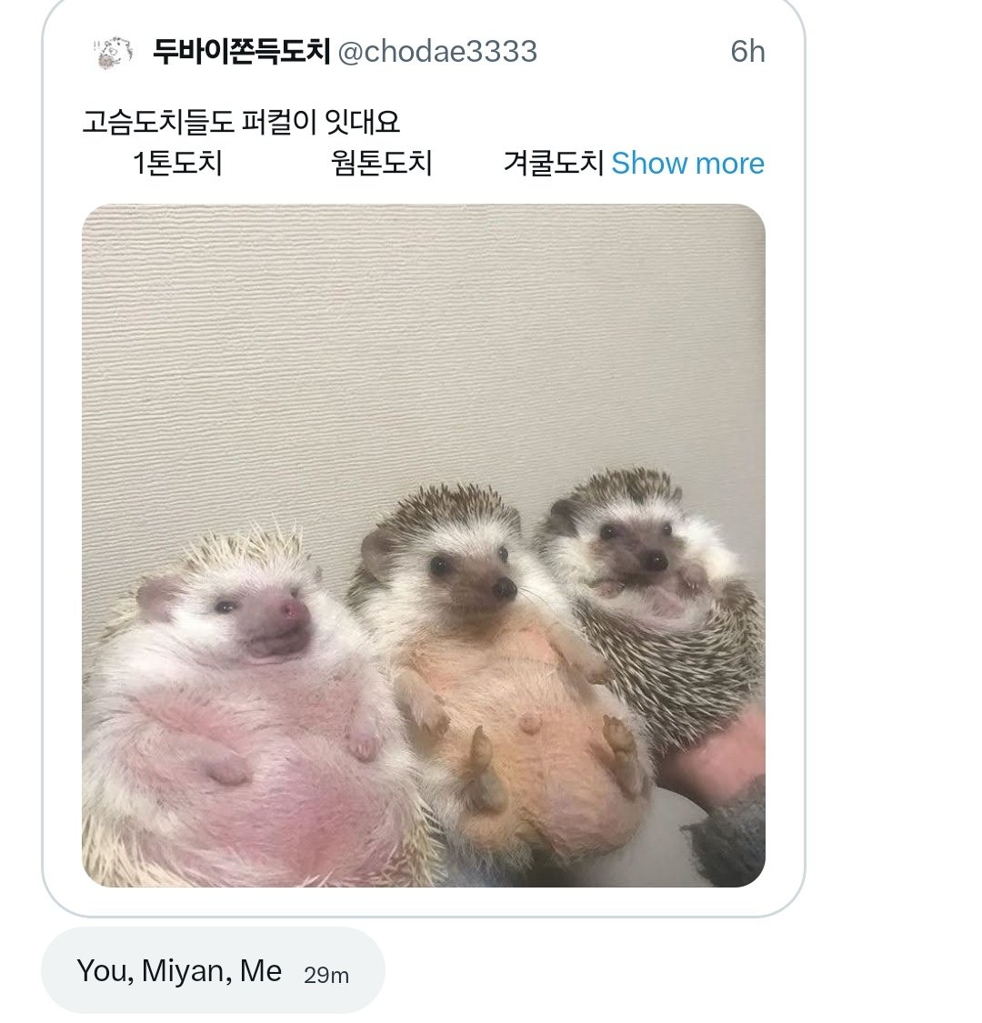 nebula tweet media