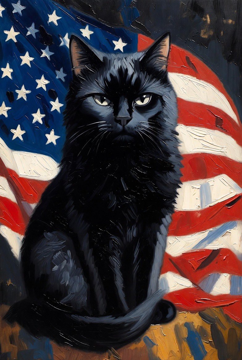 "Mad Cat" Cattis tweet media