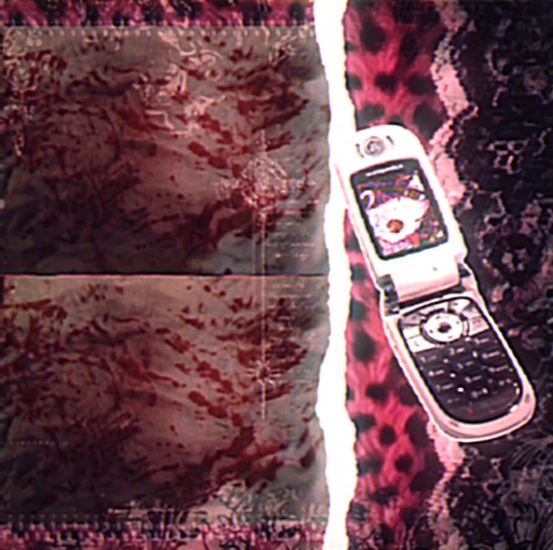 dorothy || COMS OPEN tweet media