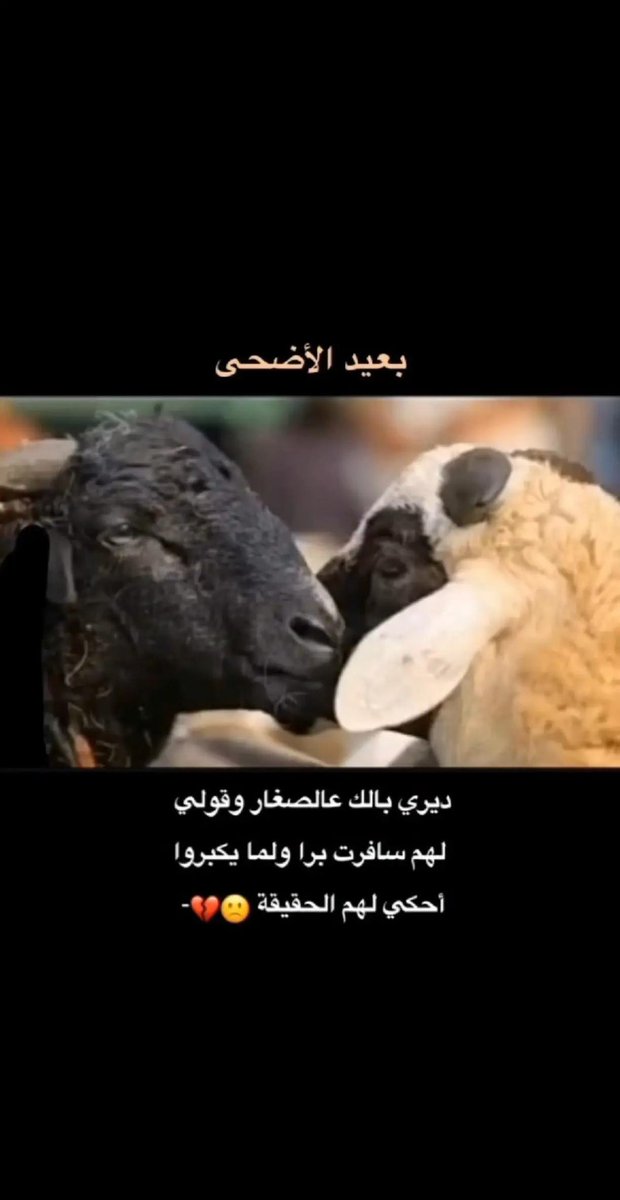 مستشار tweet media