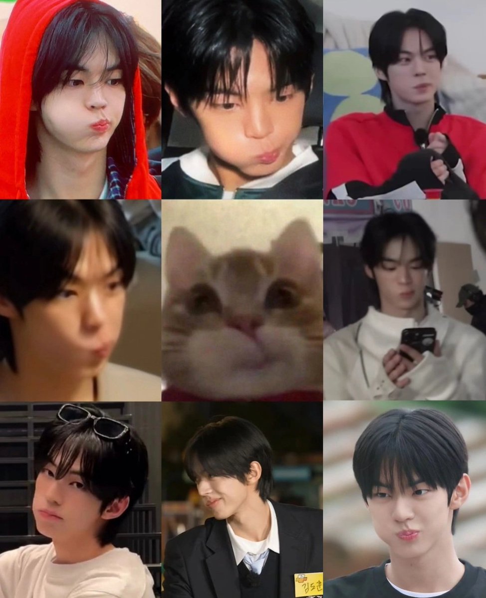 𝙏𝙤𝙖𝙨𝙩 tweet media