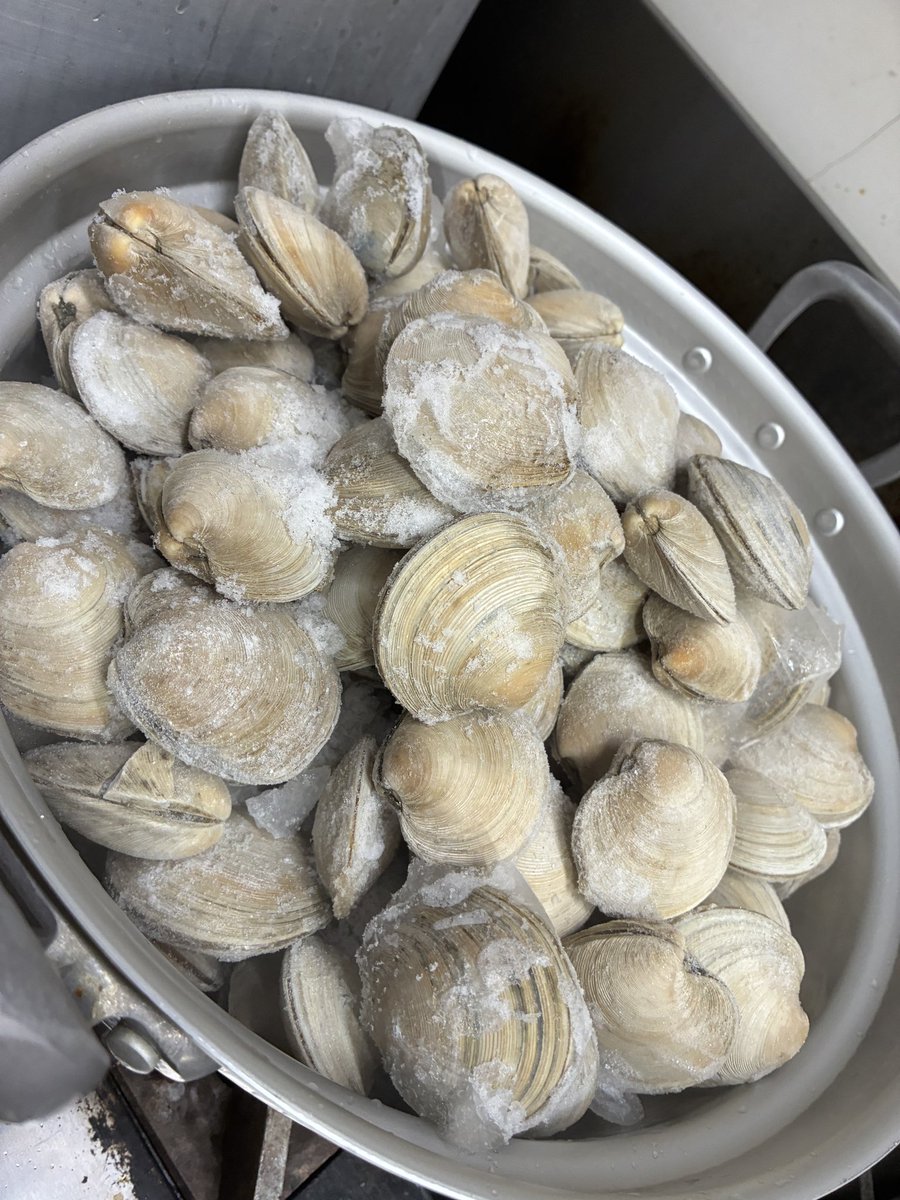 syun_ra_21's tweet photo. 5/26（火）の営業予定です。
ランチ 11:00-14:30LO
ディナー 18:00-20:30LO

【SNS限定】
・おつまみ穴子の卵豆腐 300円
新政No.6RTYPE2025 1000円
【限定麺】⚠️大盛不可⚠️
・和牛とカガミガイの塩らぁめん
通常メニューの提供はありません。
【限定丼】
・和牛吊るし焼きユッケ風と十種野菜塩麹ナムルと温玉のビビンバ
【限定和え玉】
・舞茸和牛オイルの和え玉
【デザート】
・パッションムースと紅玉紅茶アイス

よろしくお願いします。