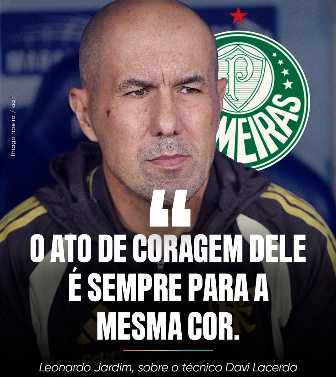 Palmeiras memes🐷💚 tweet media