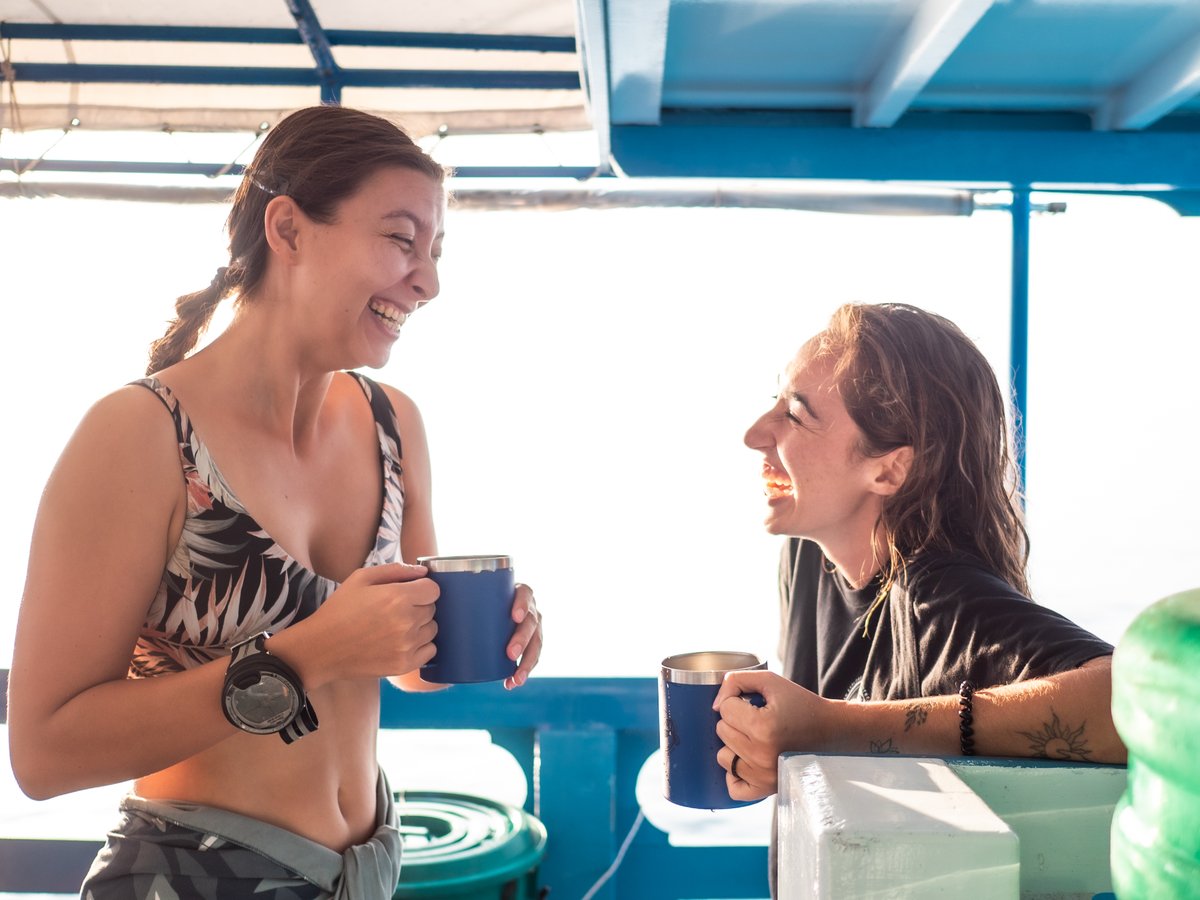 blackturtledive's tweet photo. Our dive team are experienced and highly knowledgeable dive professionals, familiar with the local reef ecology and dive sites. We will provide you with an enjoyable, fun diving experience. https://t.co/L6Ys3vi6yL #PADI #Diving #KohTao #Scuba #FunDive https://t.co/XtpuqqwcDe