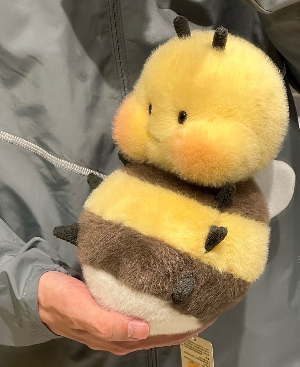birLeydi& tweet media