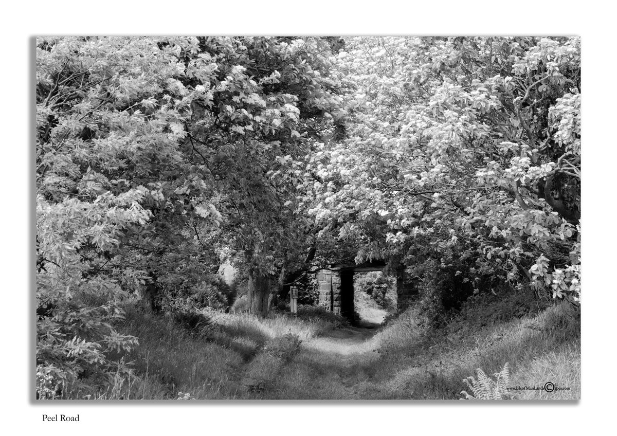 IsleofManLandscapes tweet media
