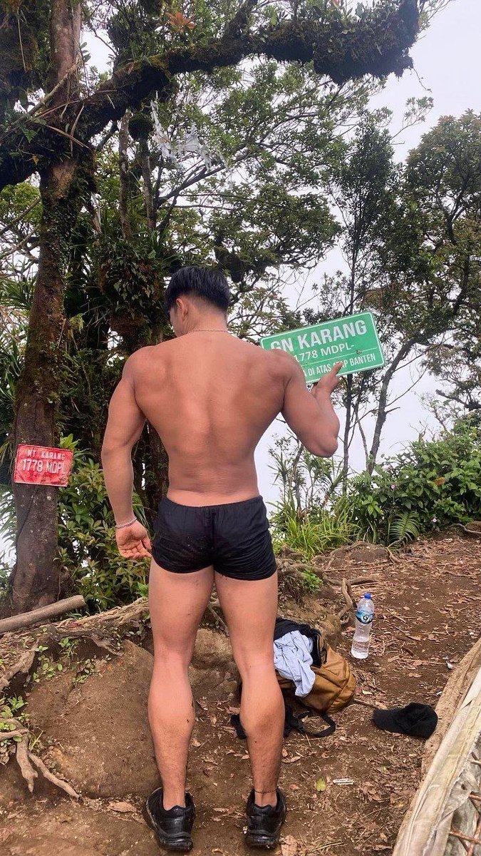 muscledailyid ⚜️ tweet media