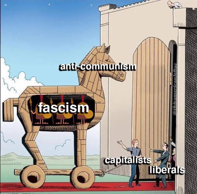 Nate 🐝🌹🇵🇸 tweet media