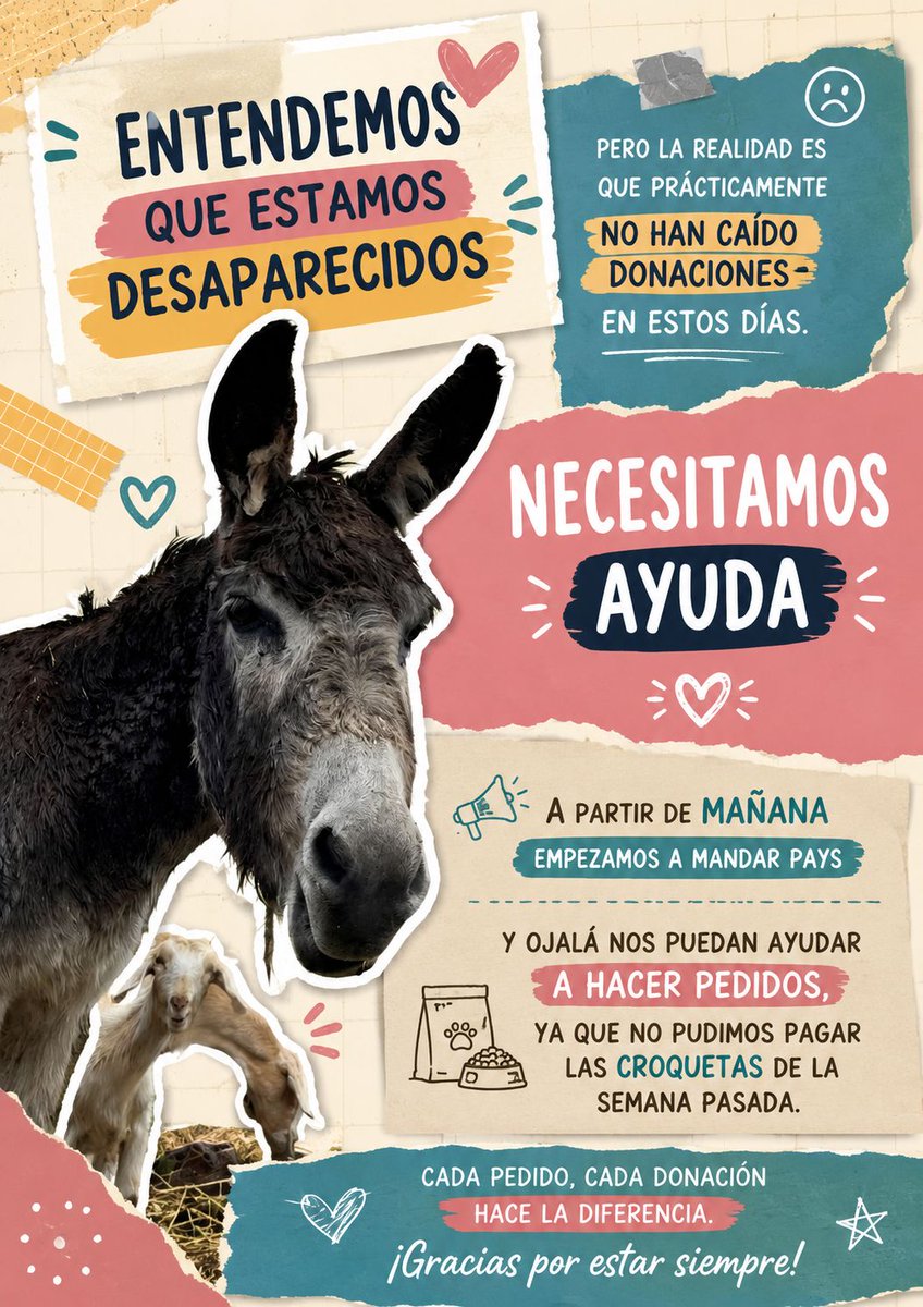 Fundación Toby tweet media