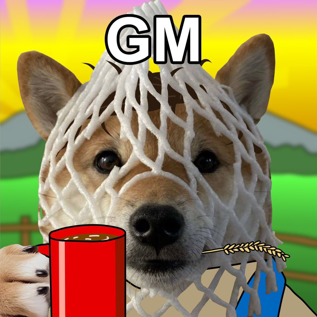 风wdog tweet media