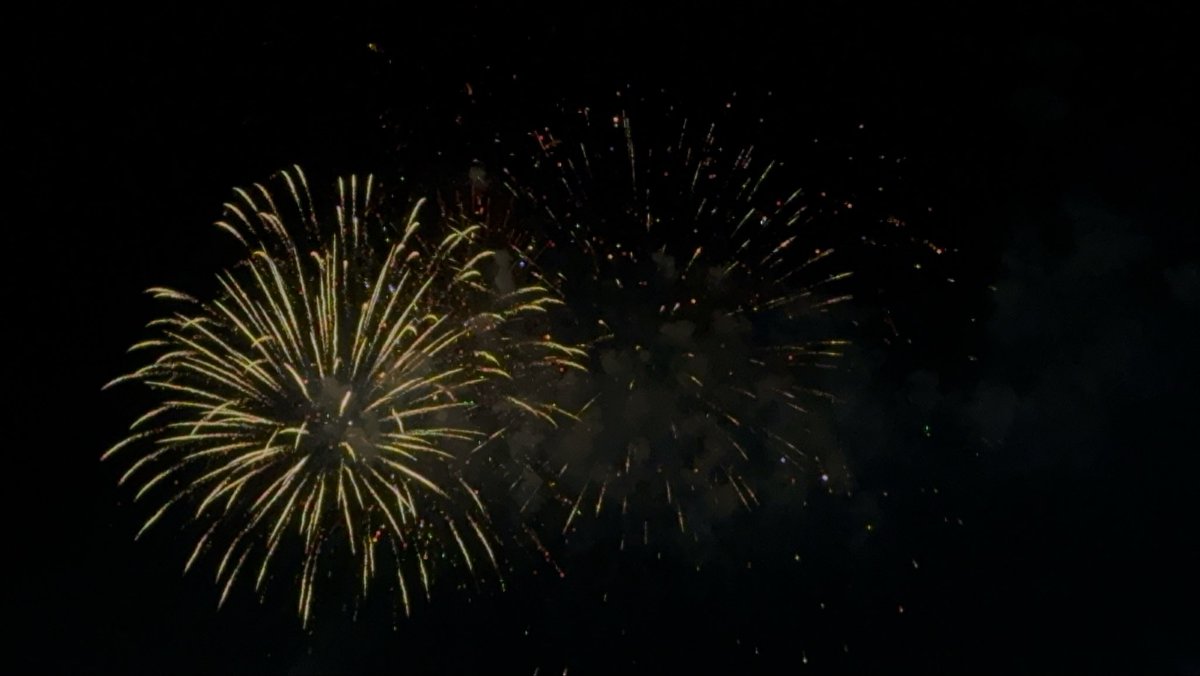 rrradilinaaa's tweet photo. Loved loved loved the fireworks show https://t.co/sJK1Cjsgx5