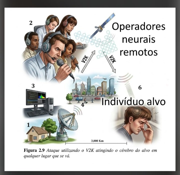 Lola 🧠🎯 tweet media