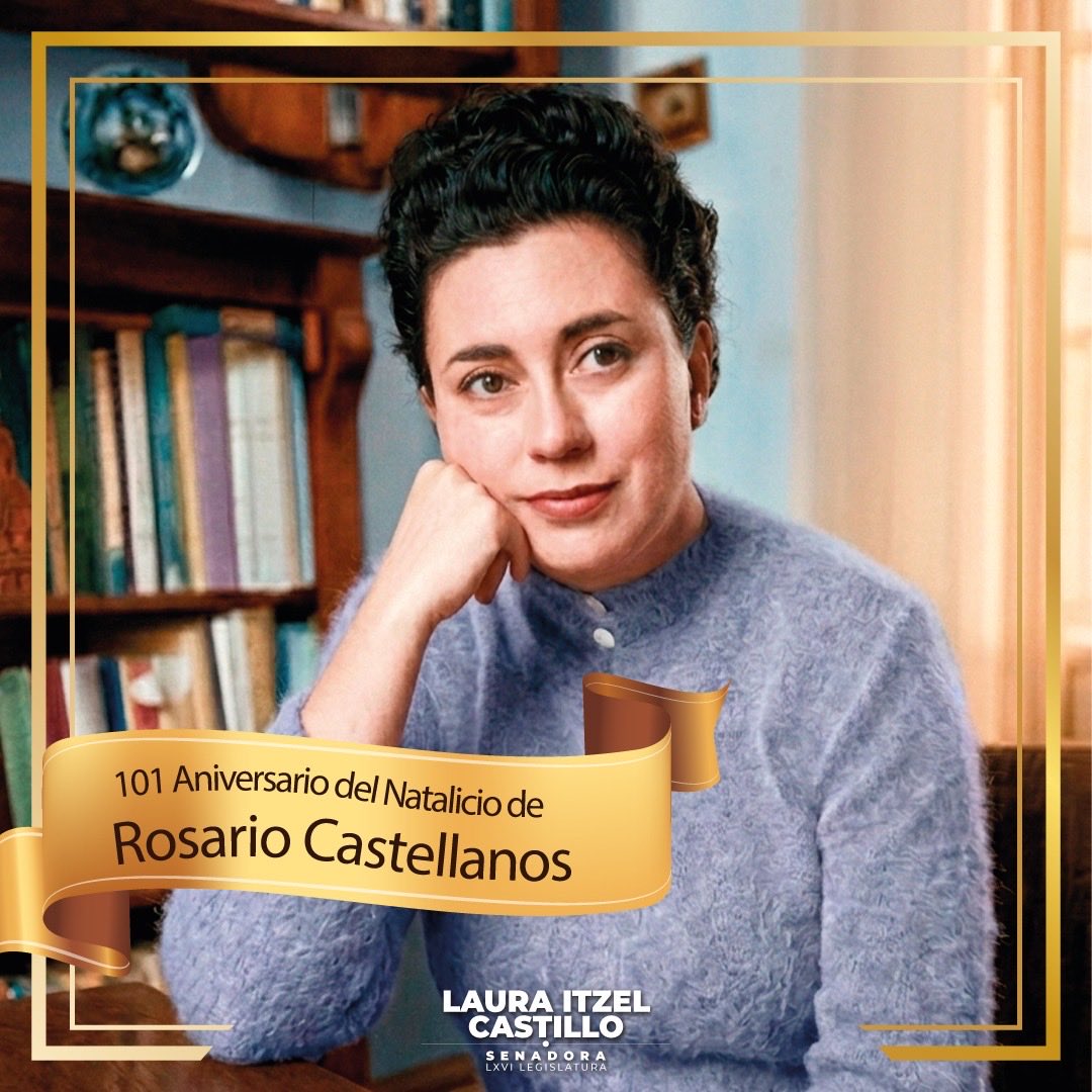 Laura Itzel Castillo Juárez tweet media