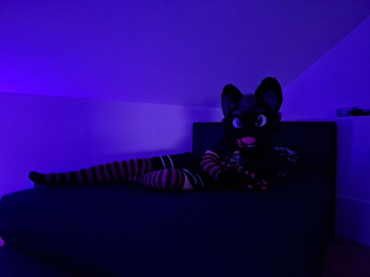 Blackyyy💜🖤 tweet media