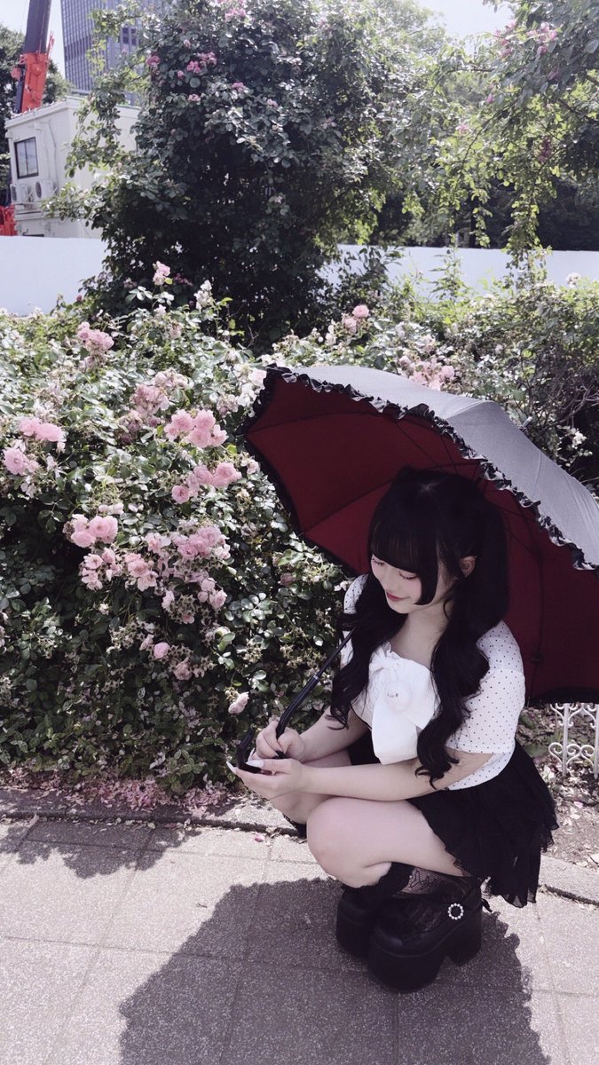 るるちゃんにゃん るるにゃん🐾 (@LD_ruru) / Posts / X