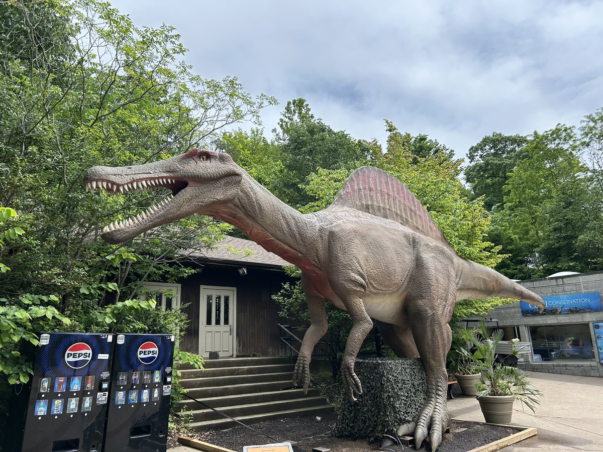 Taylor McCoy 🦖 tweet media