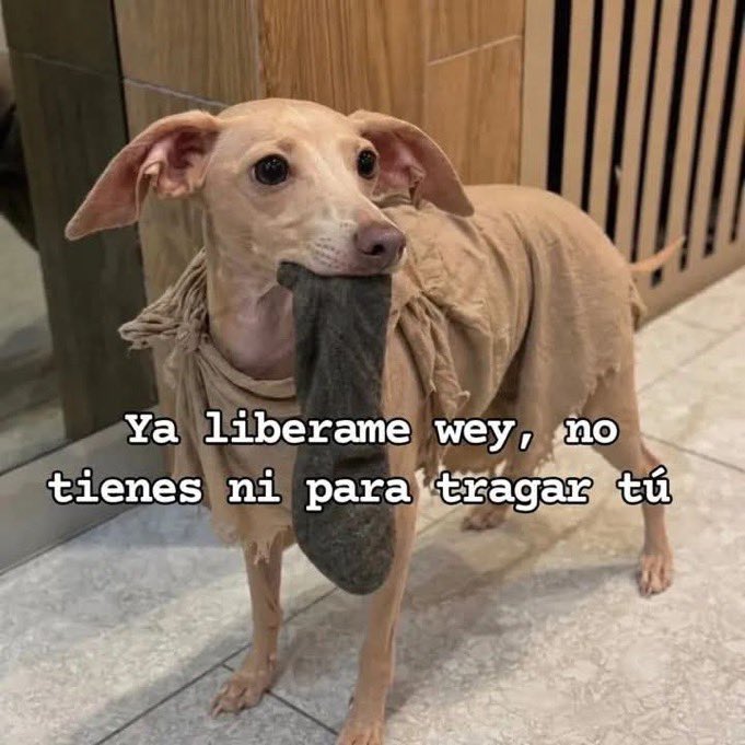 𝕄𝕚𝕩𝕥𝕝𝕚 tweet media