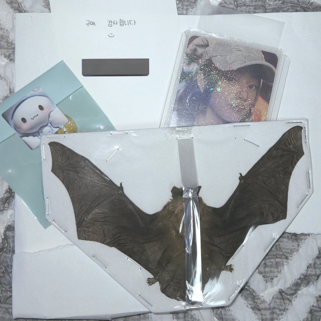 ꒰ა ☆ ໒꒱ tweet media