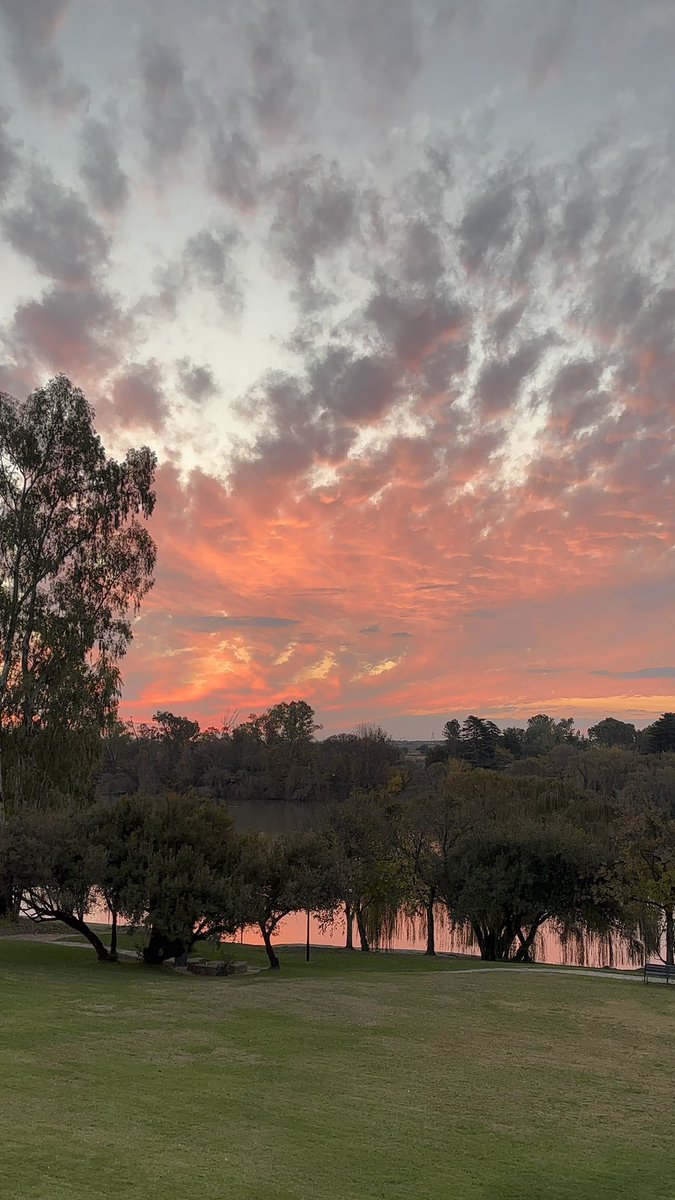masemph's tweet photo. weekend of my dreams 🥺❤️ https://t.co/5jWqfDATAP