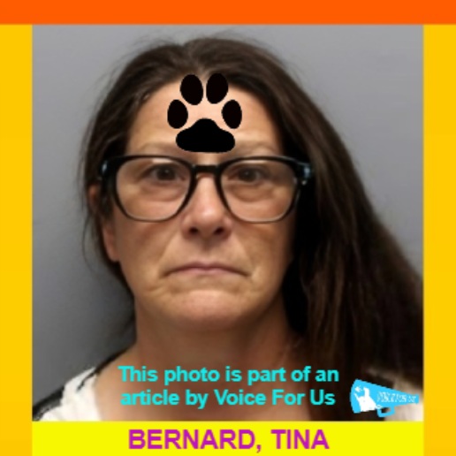 VoiceForUs_'s tweet photo. - Louisiana, USA -
TINA BERNARD arrested after dozens of animals found in unsafe conditions at a property in St. Bernard Parish
https://t.co/dgfx9VNJp7 https://t.co/57EvZRdaou