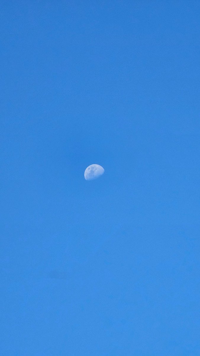 lionlegacyfit's tweet photo. Today I walked 14,575 steps https://t.co/BLdk5zjddE
