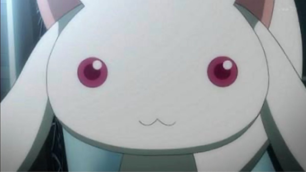 お⸒⸒⸜( ˶'ᵕ'˶)⸝ tweet media