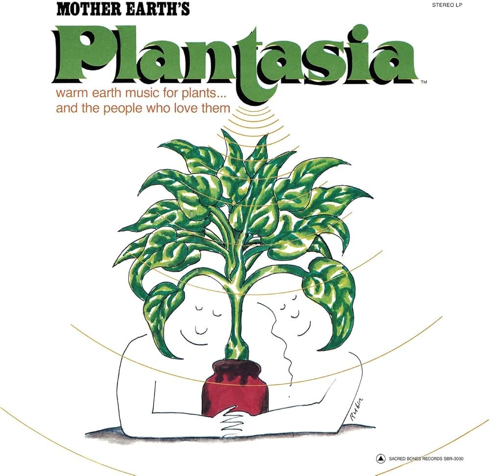 josegesteves's tweet photo. A internet trouxe muita coisa ruim, mas não tem como negar a importância dela de difundir e descentralizar a exposição da música. Simplesmente não tomaria conhecimento de Plantasia se não fosse pela internet. https://t.co/FEm0ssiDfN