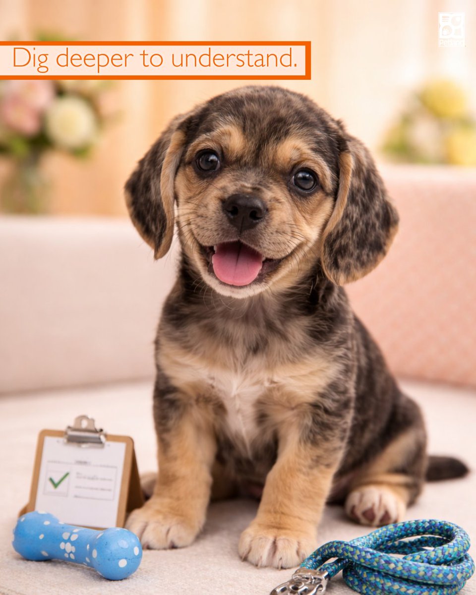 Petland Beavercreek (@PL_Beavercreek) / Posts / X