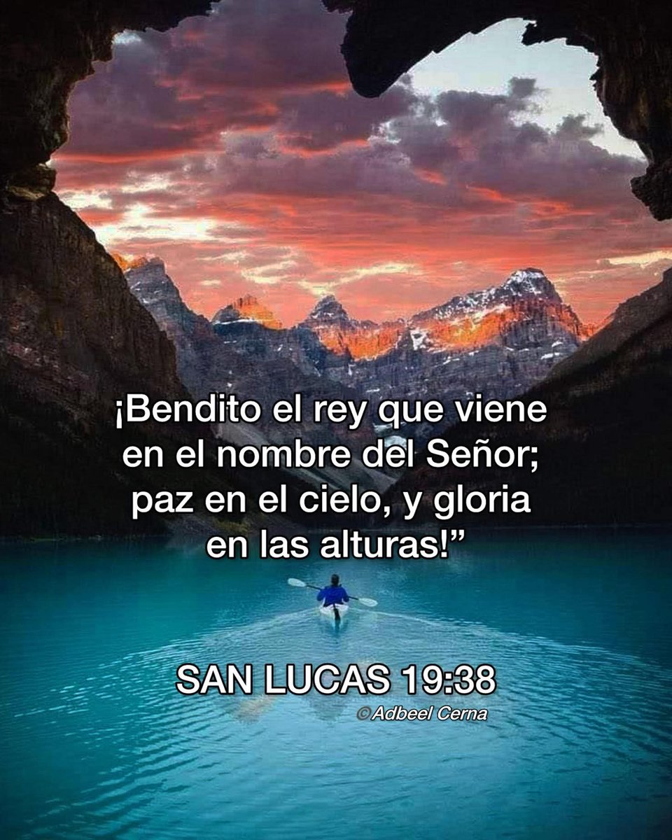 Marco Rodas™👑🇬🇹 tweet media