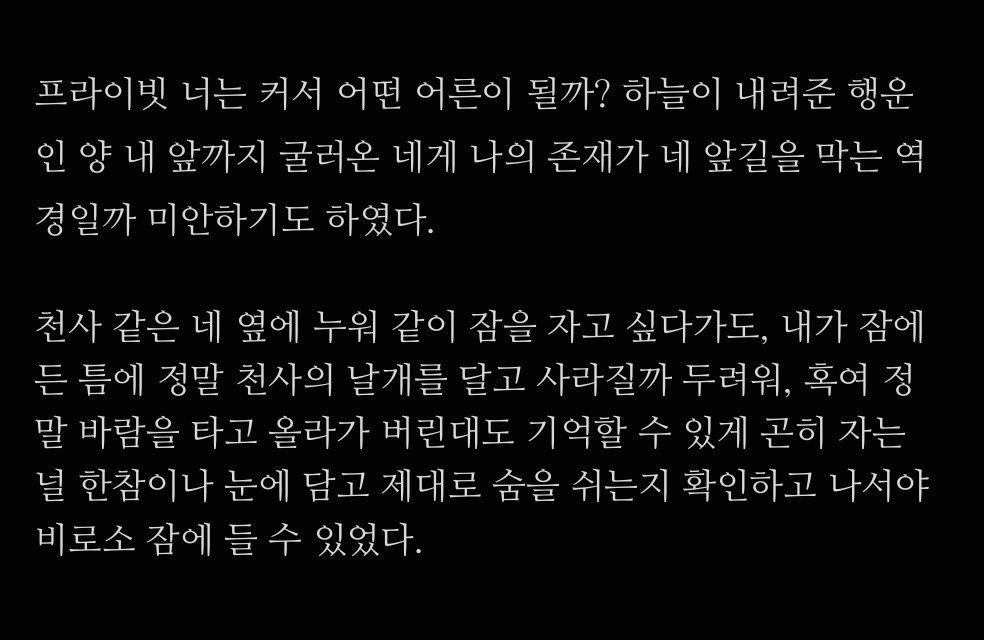 카도 tweet media