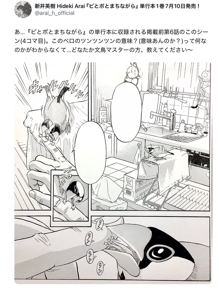 新井英樹 Hideki Arai 『ピとポとまちながら』単行本1巻7月10日発売! tweet media