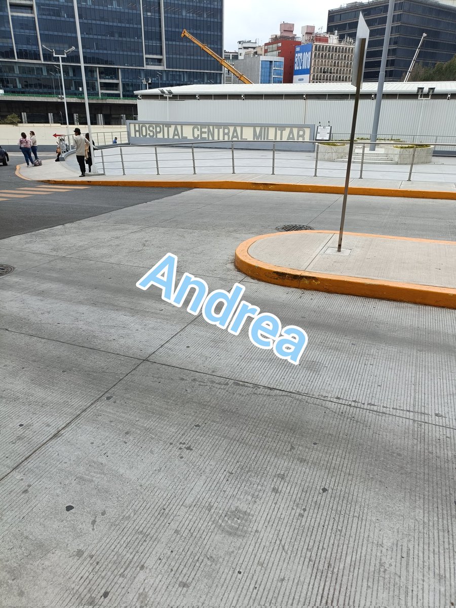 Andrea tweet media