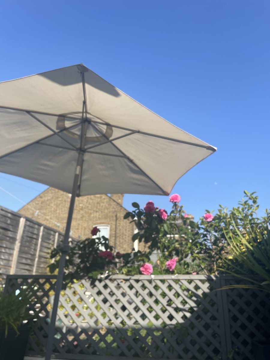 vickitheflorist's tweet photo. Perfect blue sky #summer #hot https://t.co/uSRjfqFMLn