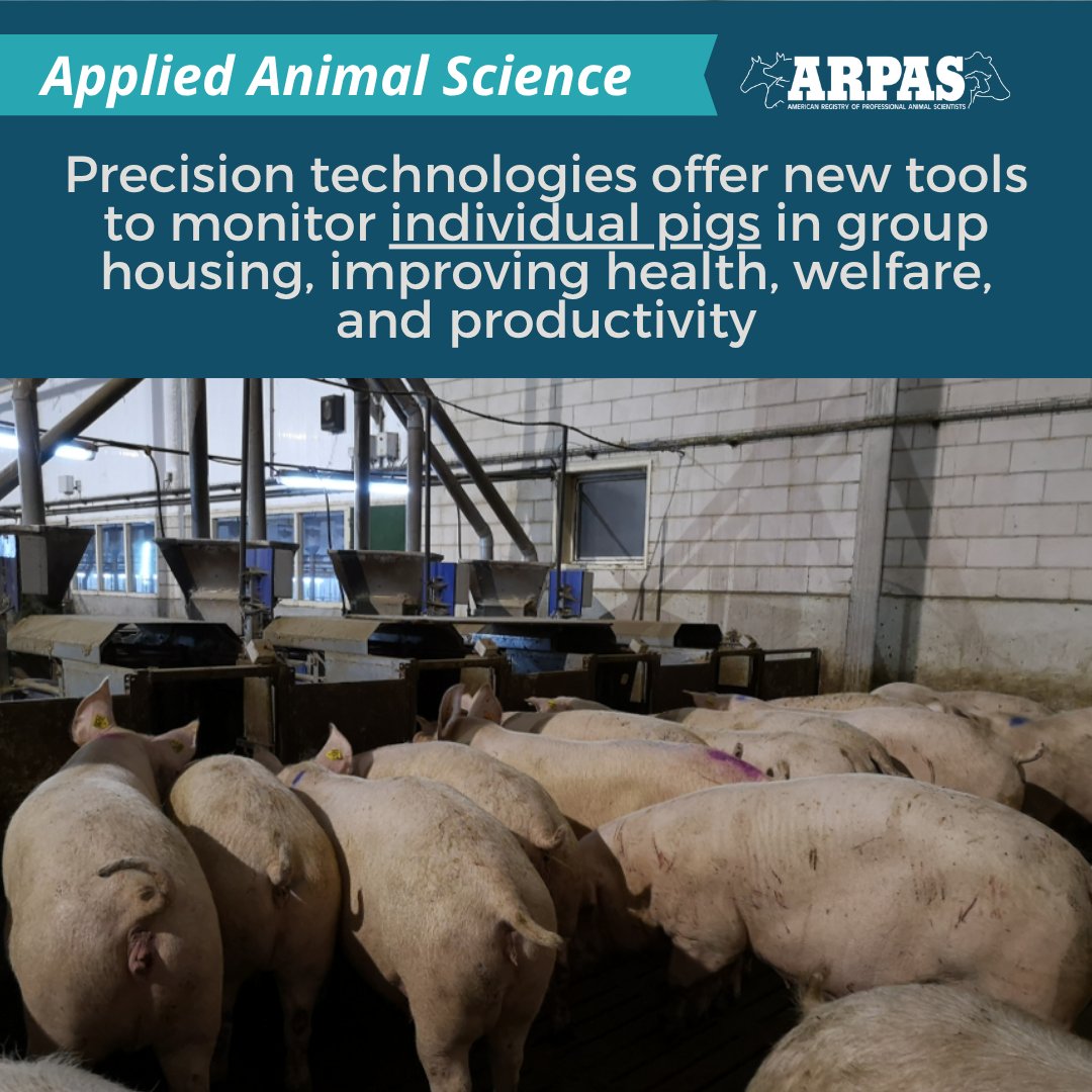 ARPAS_PAS's tweet photo. An invited review in #AppliedAnimalScience (https://t.co/G9i3Ld4gPy) examines how sensors, robotics, and
data analytics have the potential to advance swine management, including barriers
to their widespread adoption. 

Read on: https://t.co/to2t48j1MA https://t.co/wfcp7rrik4