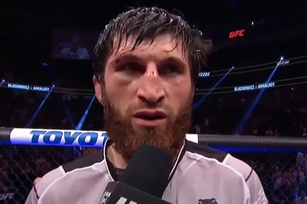 Octagon Pulse | UFC MEDIA🚨 tweet media