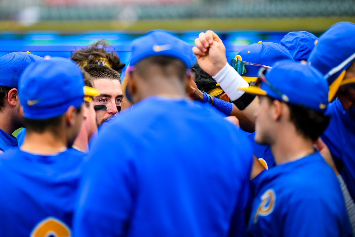 Pitt Baseball tweet media
