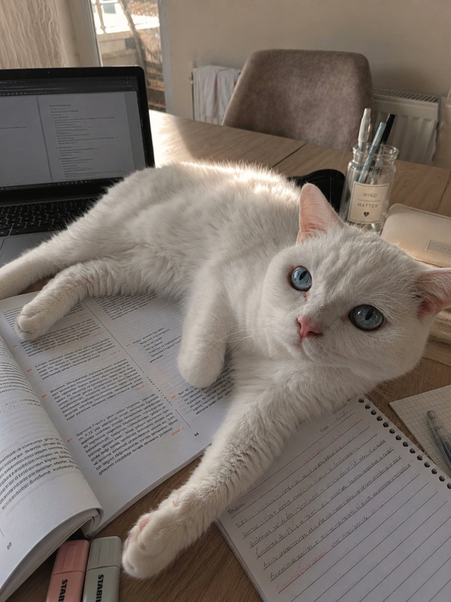 tiny1hunter's tweet photo. Ders çalışıyorum dersimi sabote ediyor kızsam üzülüyorum,kızmasam çalışamıyorum ne yapim şimdi ben he jsjsjsj https://t.co/IWlGxM9oTR