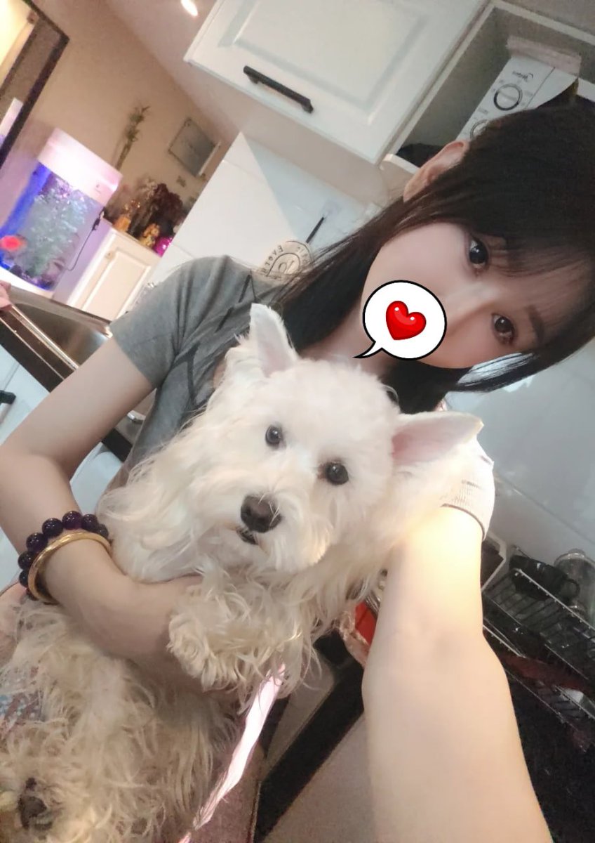 Lisasamom's tweet photo. 跟大家重新自我介紹一下
我本名：麗雅
綽號：麗莎
身體密碼：36D
特色：我水很多沒人信
做愛姿勢：後入
性癖：按頭口交
#我很好相處你可以密我 @Lisasamom https://t.co/0o9JOp6jB2