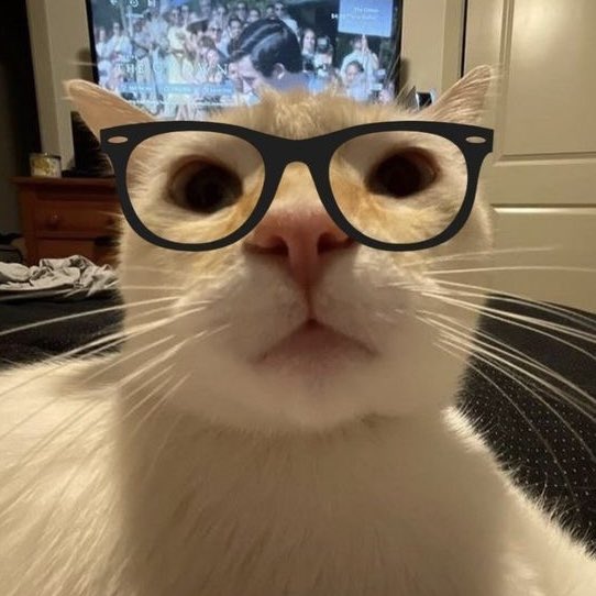Shawn Hatosy As Cats tweet media