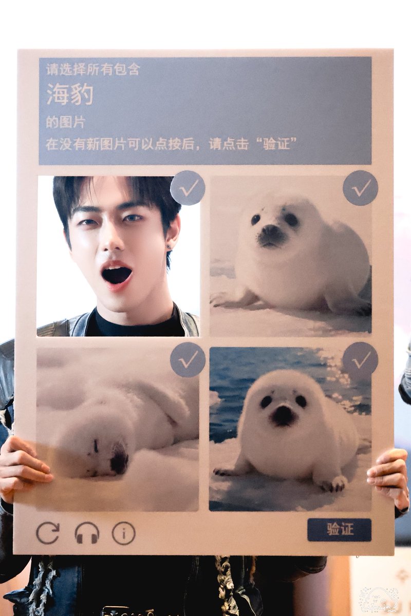Winwin_Rowan's tweet photo. 𝟐𝟎𝟐𝟔𝟎𝟓𝟐𝟓

🦭🦭🦭🦭

#颜秋越 #ROWAN #로완
#MODYSSEY #모디세이 https://t.co/sxnewrwFrj