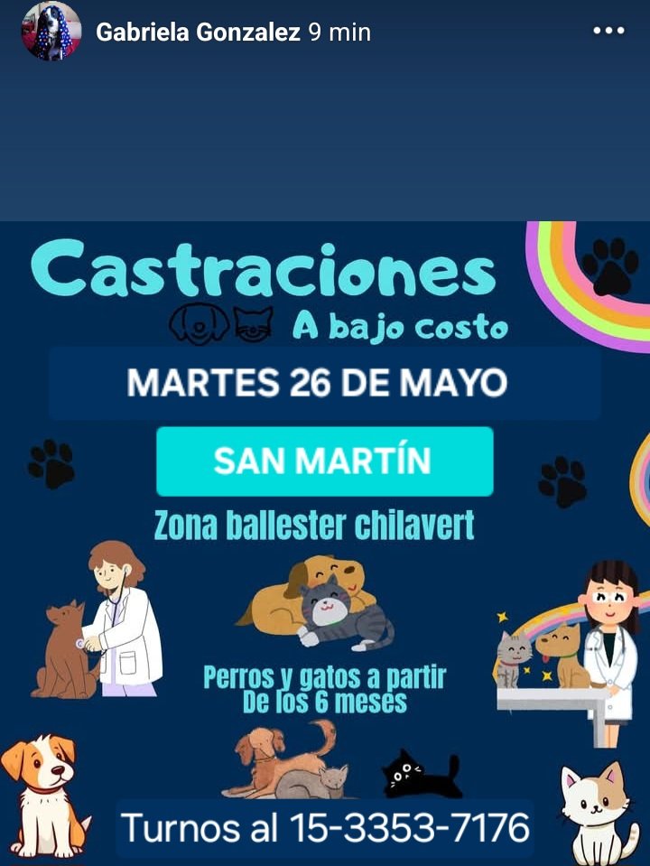 protegealanimal's tweet photo. SAN MARTÍN
#SANMARTÍN #LOMAHERMOSA #BILLINGHURST #JOSÉLEÓNSUÁREZ #JLS #SANANDRÉS #VILLABALLESTER #VILLALYNCH #VILLAMAIPÚ #BALLESTER #VILLALIBERTAD #VILLAHIDALGO #CHILAVERT #CARCOVA #BARRIOLIBERTADOR #LANZONE #ZONANORTE #ZONANOROESTE #GRANBSAS #BUENOSAIRES #CONURBANO https://t.co/ZAD1lPHwHd