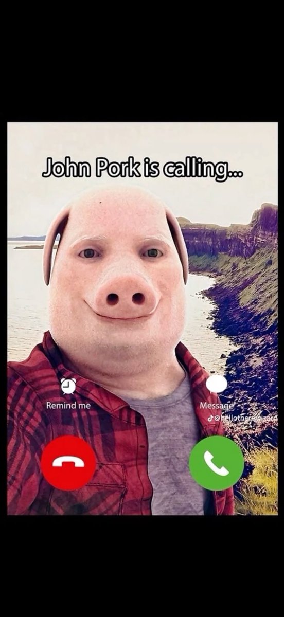 Redcornjjohn's tweet photo. @degenharambe 73jj6SFe9FKn6qqpaGwbSd7TL1sHheh3HqDo9RwA7BHB https://t.co/OKhAjGM91C
