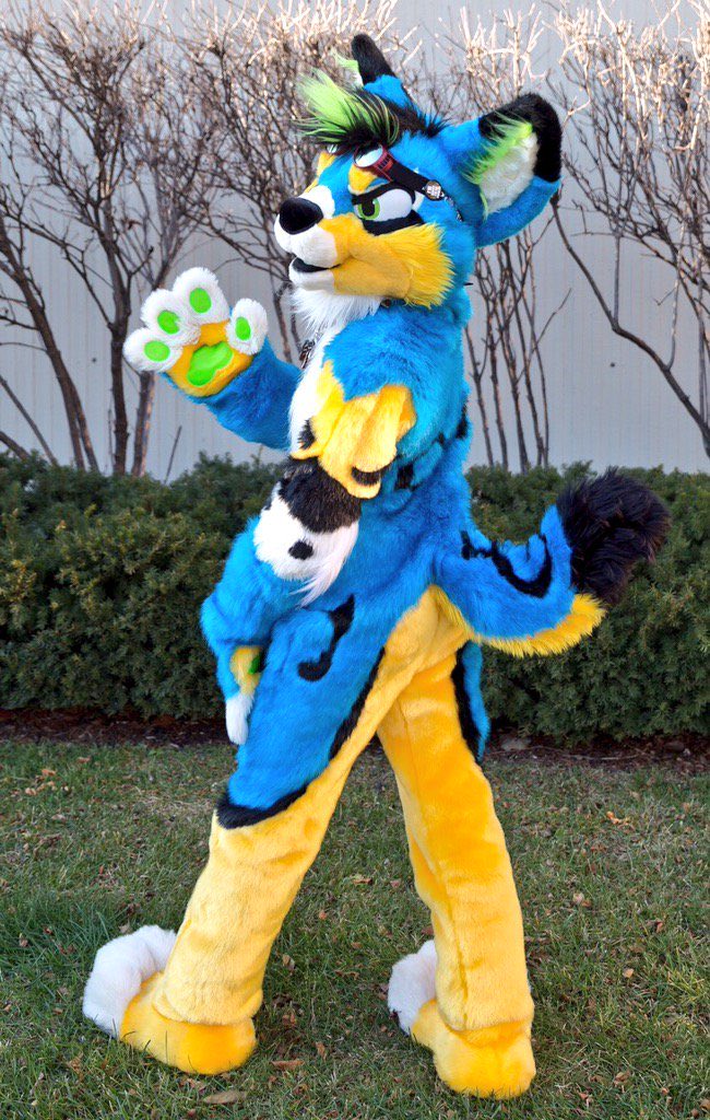 RhapsodyBarks tweet media