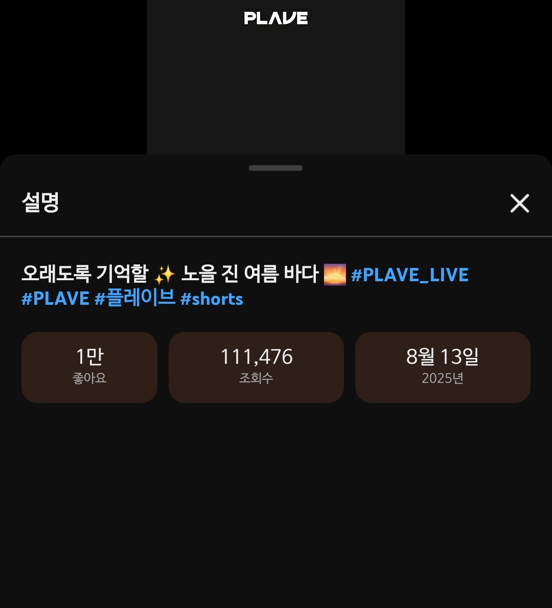 김페퍼 tweet media